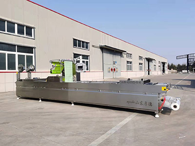 休閑食品拉伸膜包裝機(jī)